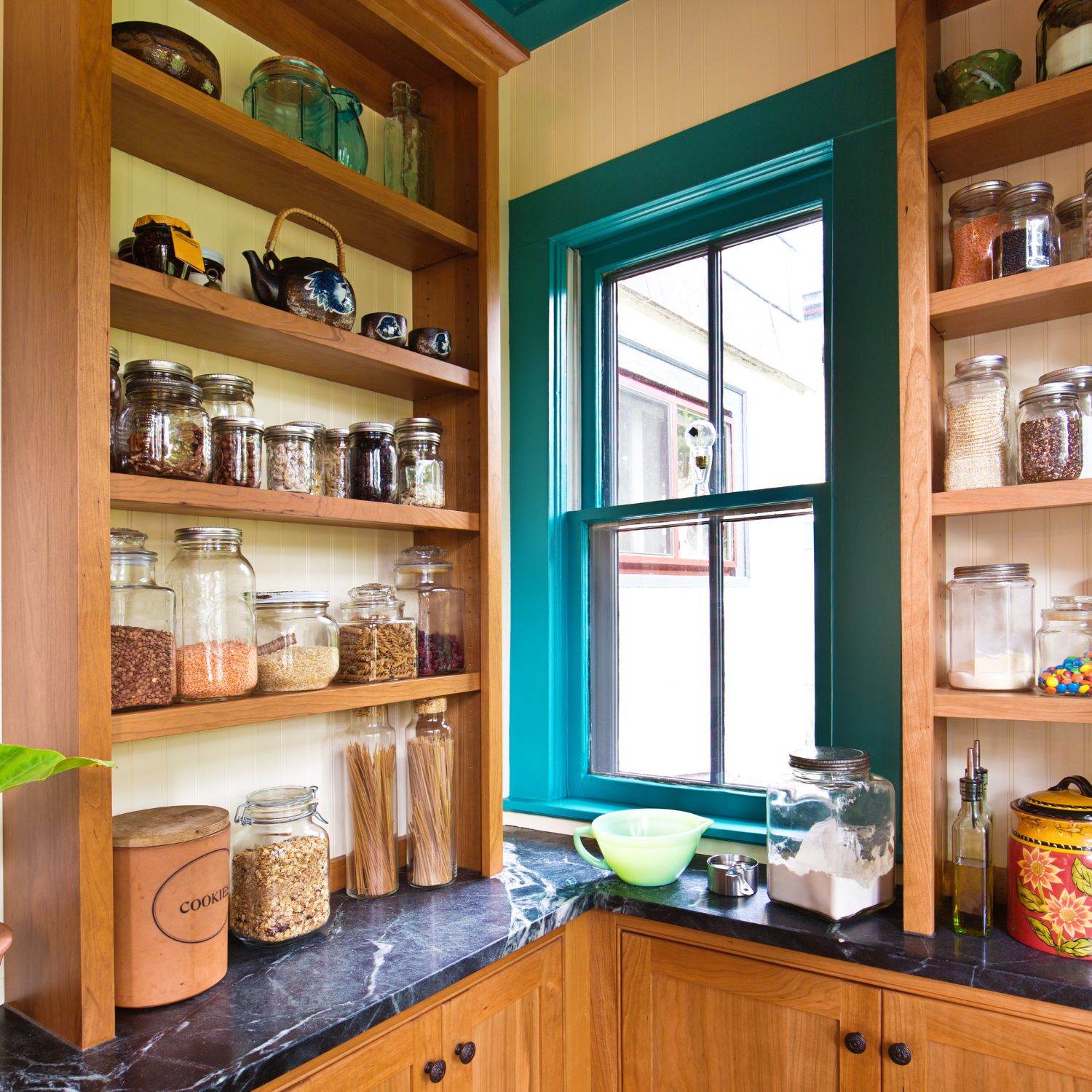 A Spring Herbal Pantry: 8 Wild Herbs to Know and Use - Triple H Homestead & Triple H Country Store - {{ article.tags }}