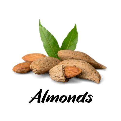 Almonds - Triple H Homestead & THH Country Store
