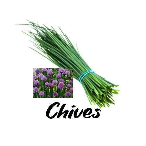 Bunch of chives with an inset of chive flowers on a white background