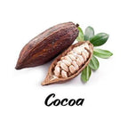 Cocoa bean pod with beans inside on a white background