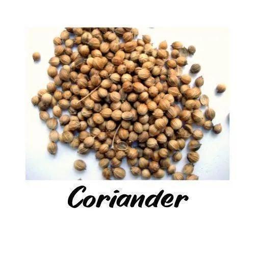 Coriander seeds on a white background with 'Coriander' text.