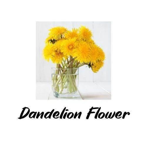 Bouquet of yellow dandelions in a clear vase on a white background with 'Dandelion Flower' text.
