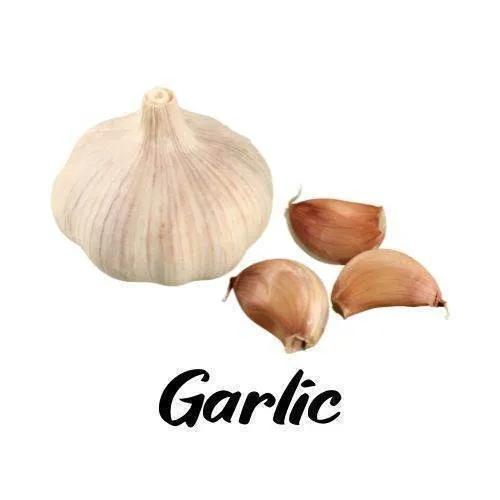 Garlic bulb and cloves on a white background with 'Garlic' text.