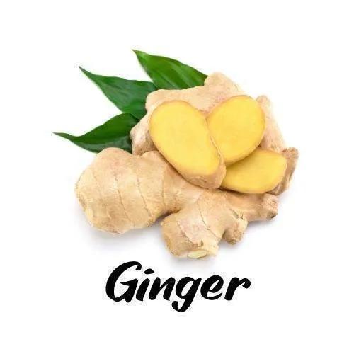 Ginger root with leaves on a white background