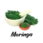 Moringa - Triple H Homestead & THH Country Store