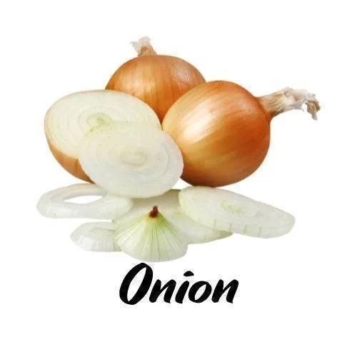 Onions with a white background and the word 'Onion' displayed.