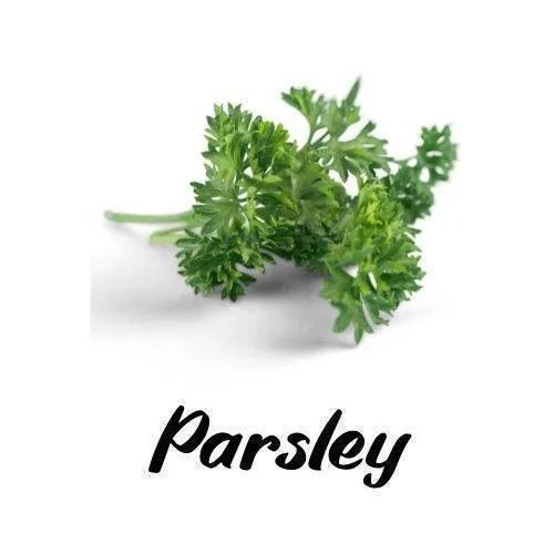 Parsley on a white background with the word 'Parsley' written below.