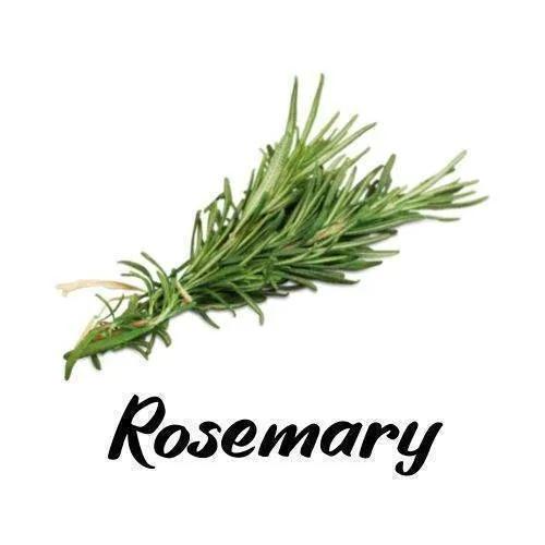 Bunch of rosemary with the word 'Rosemary' written below on a white background