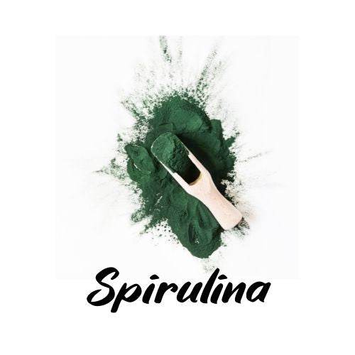 Spoonful of green spirulina powder on a white background with 'Spirulina' text.