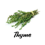 Bunch of thyme with the word 'Thyme' written below on a white background