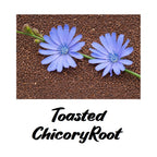 Two blue Chicory flowers on Toasted Chicory Root with 'Toasted Chicory Root' text below.